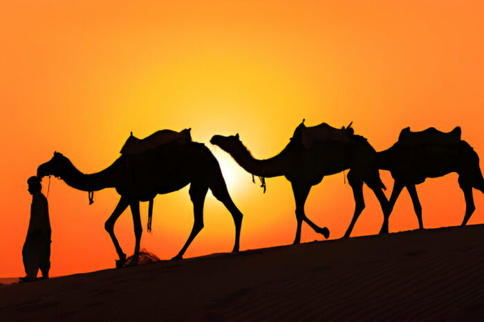 4 day Desert Tour Marrakech to Fes